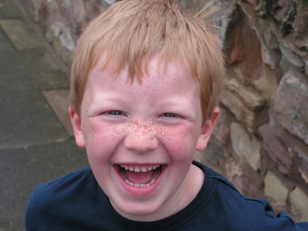 Бацзы и Фэн Шуй