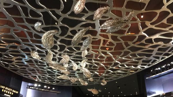 Рыбки, которые попадут в сеть